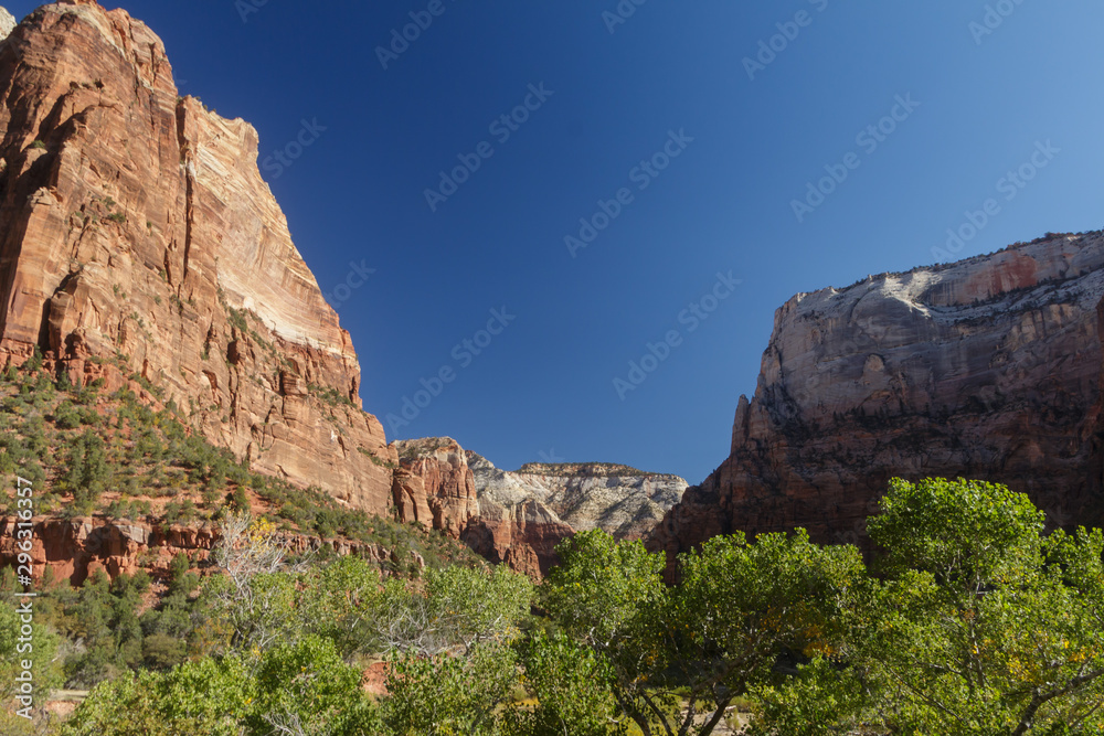 Blue skies over a mountain valley in Zion National Park