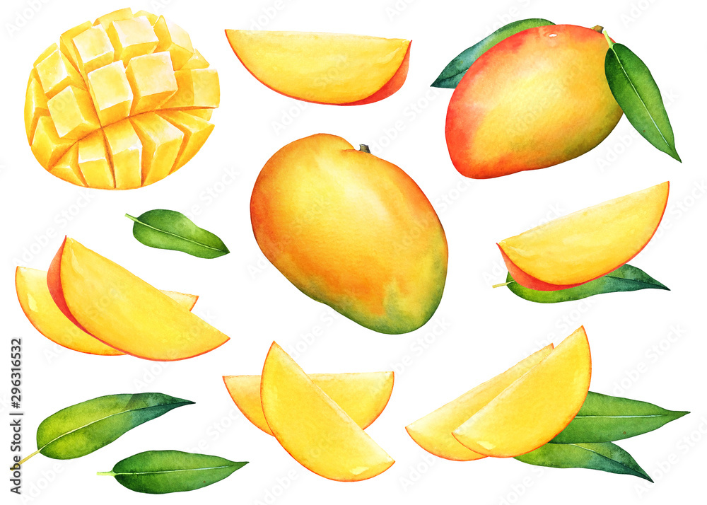 Watercolor set of mango fruits with green leaves Watercolor set of mango fruits with green leaves