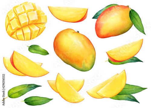 Watercolor set of mango fruits with green leaves