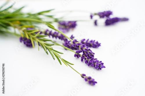 An arrangment of lavender placed on a white background.