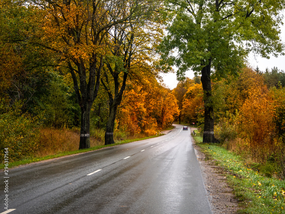 Road in the autumn forest in rain. Asphalt  road in overcast rainy day. Twisting roadway with trees in kaliningrad region. Empty highway in fall woodland.