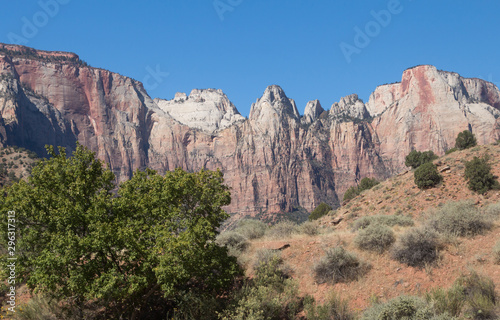 Sage brush growing along the majestic mountainside in Zion National Park