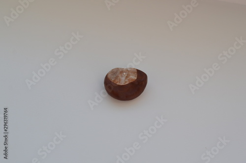 Tapety artystyczne Chestnut seeds
