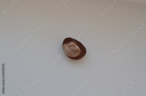 Tapety artystyczne Chestnut seeds