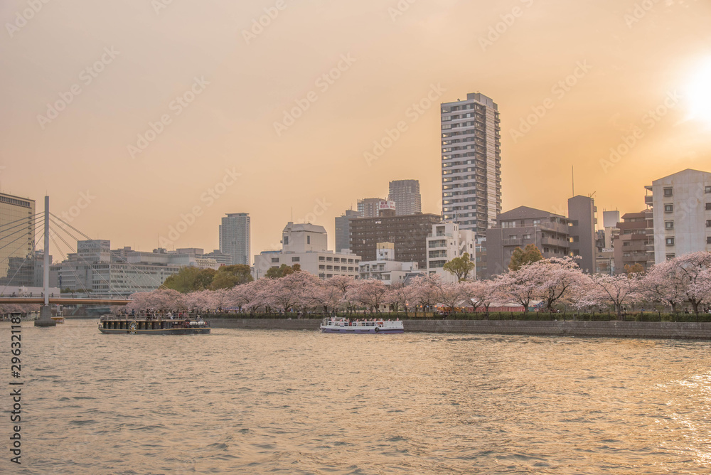Obraz premium Sakura / River / Osaka