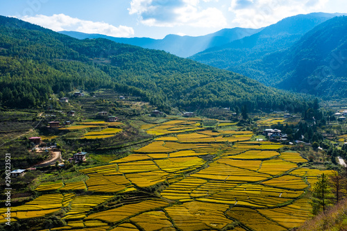 Bhutan Paro Paddy field photo