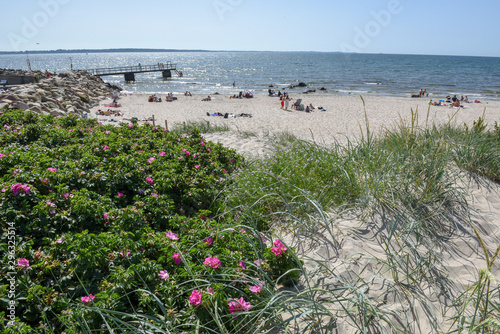 View at the Beach of Domsten in Sweden photo