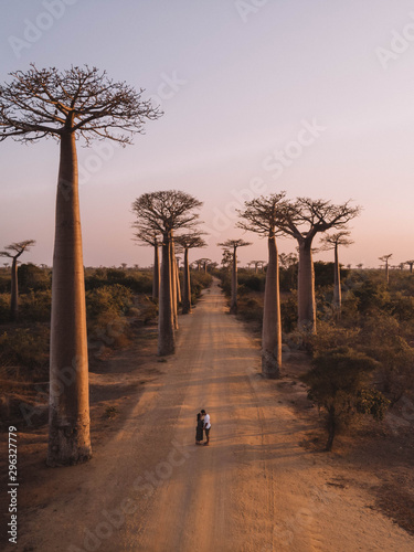 Avenue of baobabs, Madagascar