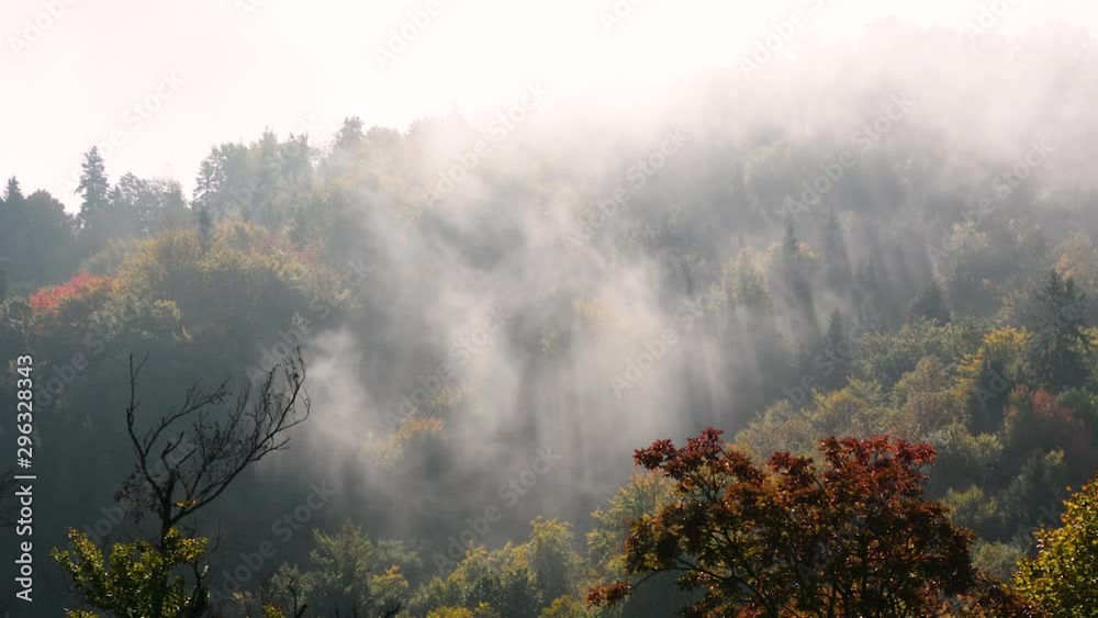 Fog moves above autumn forest hill on bright sunny morning Fog moves above autumn forest hill on bright sunny morning