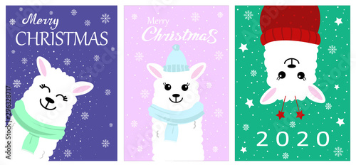 Set of holiday greeting card with white llama and snowflake. Vector hand-drawn illustration. Cute card for your design. Festive background. Handwritten modern letters.