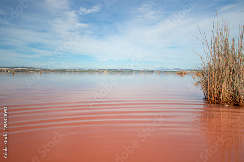 Pink lake Torrevieja