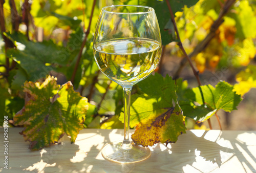 Wine in front of vineyards in Tuscany, Italy.