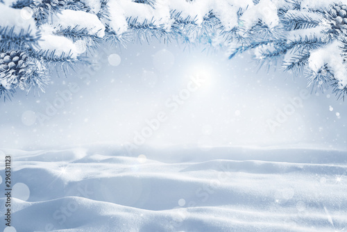 Winter Christmas scenic background with copy space. Morning Snow landscape with christmas branches covered with snow close-up, sunlight, snowdrifts and falling snow on nature outdoors, copy space © Tatyana Sidyukova