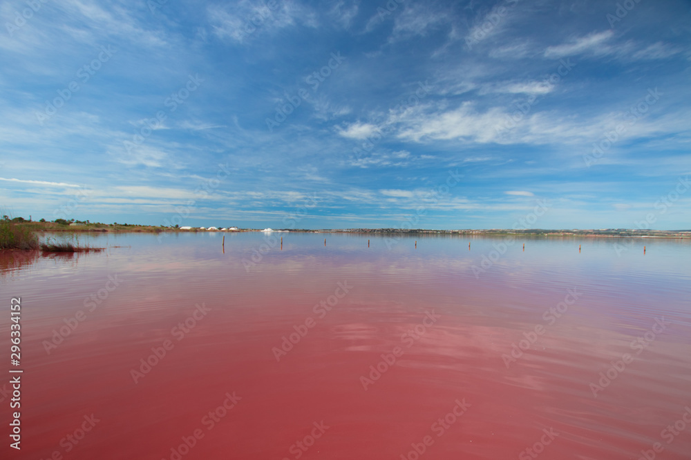 Pink lake Torrevieja, Spain