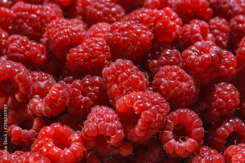 background of fresh ripe raspberries background of fresh ripe raspberries
