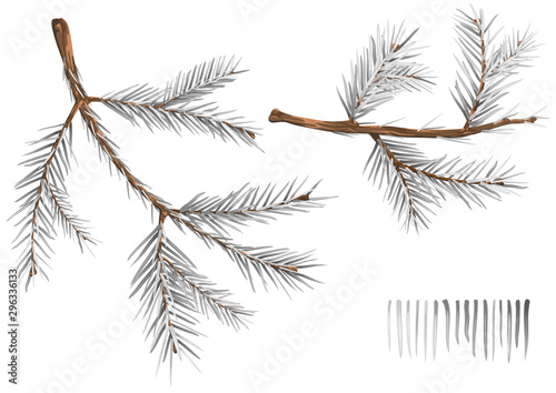 Set of Wintry Spruce Branches - Detailed and Realistic Illustrations Isolated on White Background, Vector