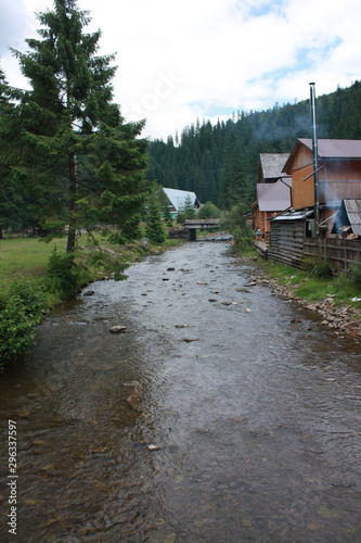 Carpathian landscapes. Forests and mountains of the Carpathians. photo