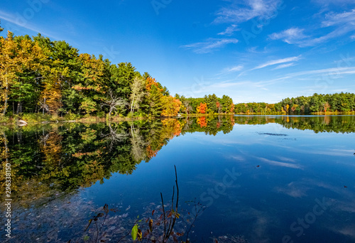 Mine Falls Foliage 13