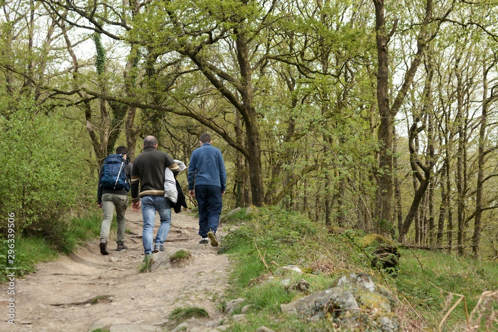 man in the forest adventure