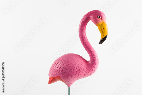 pink flamingo on a pink background