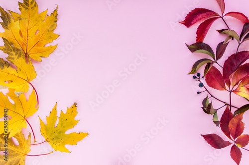 Autumn composition. yellow and red leaves with berries on a pink background. autumn background. flat lay  top view  copy space