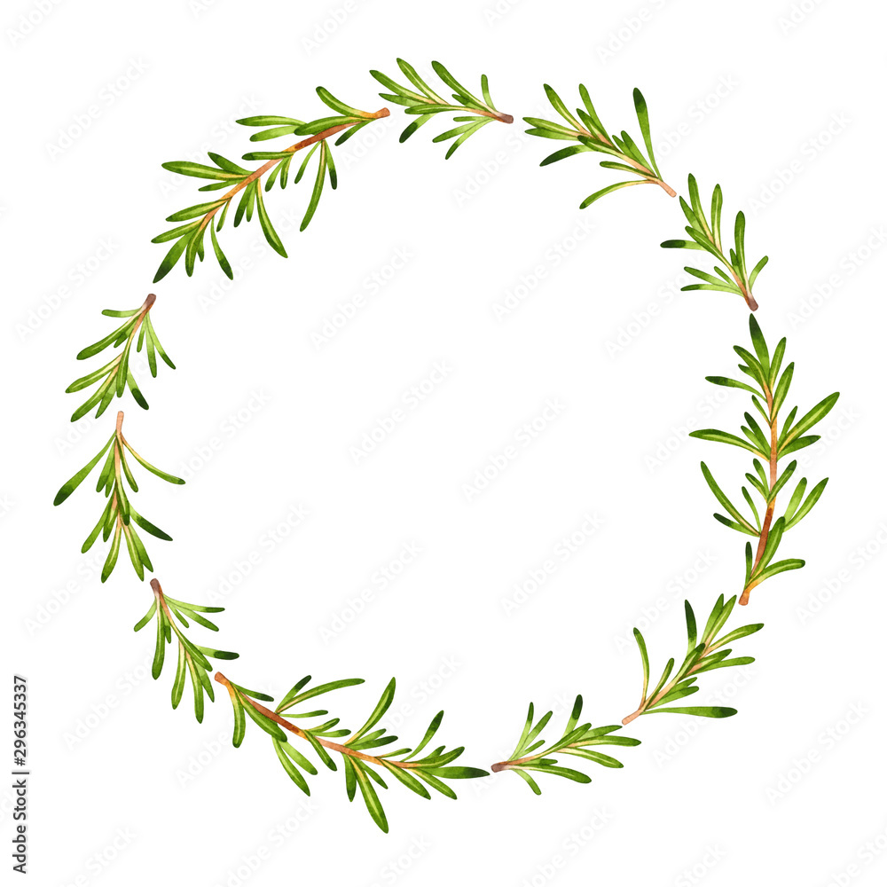 Fototapeta premium Na białym tle wieniec akwarela ze świeżym rozmarynem