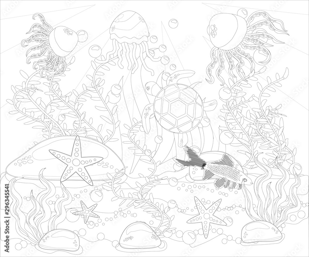 Underwater world. Anti stress coloring book for adult. Outline drawing coloring page. Black and white in zentangle style. Sea, shells. Marine theme.