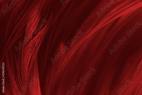 Beautiful red feather pattern texture background