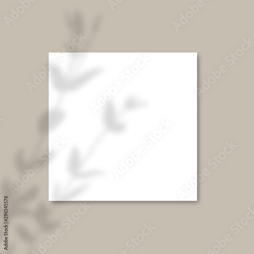 The shadow of the plants. Square Paper Mockup with realistic shadows overlays leaves on gray background.