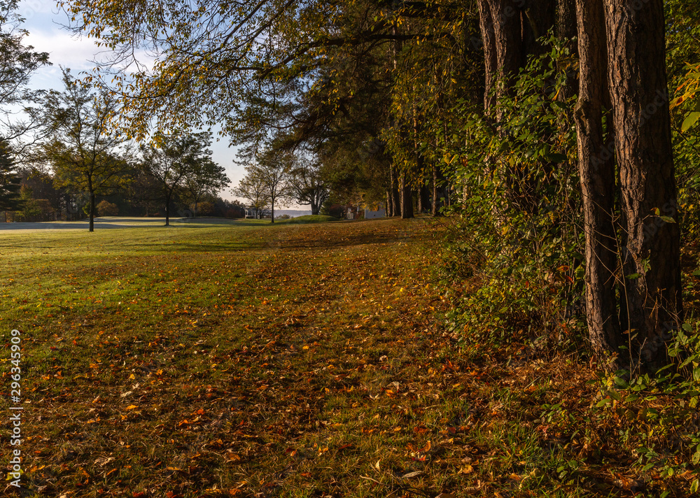 green grass golf course in fall with autumn leaves and trees green grass golf course in fall with autumn leaves and trees