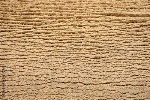 Close up of sand texture background.