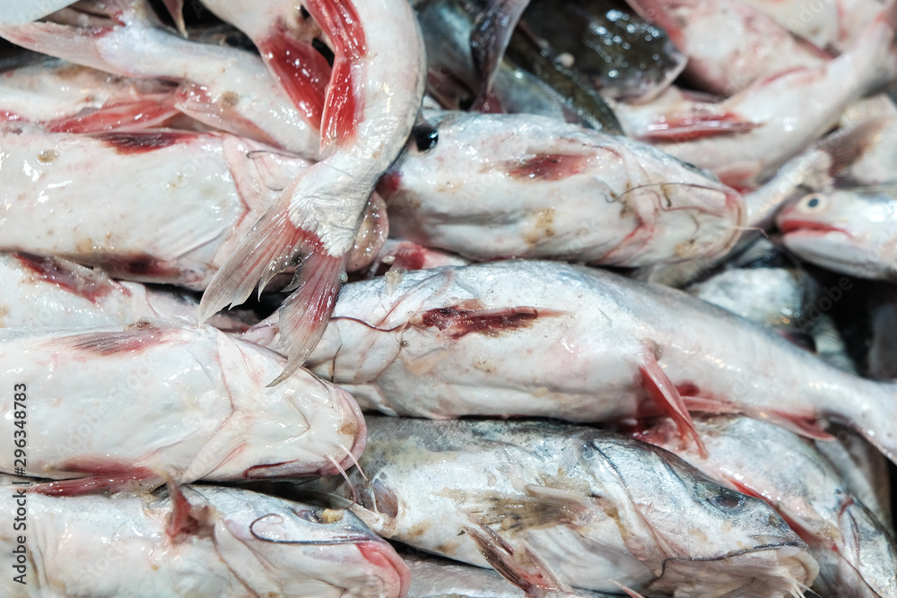 Group of variouse sea fish sell in traditional market