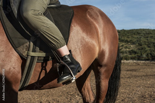 Jockey walking with the horse