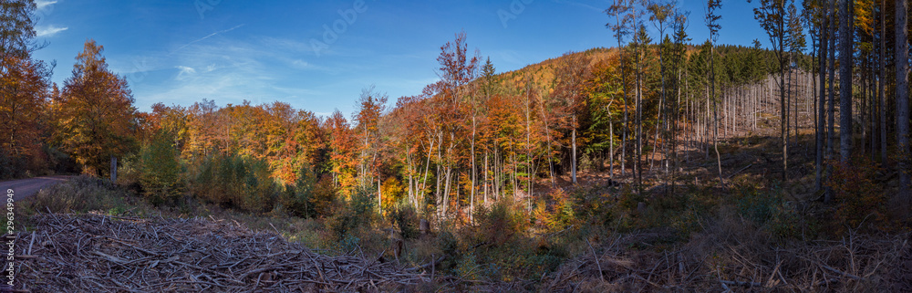 A panorama in the mountains with autumnal colored trees in blue sky