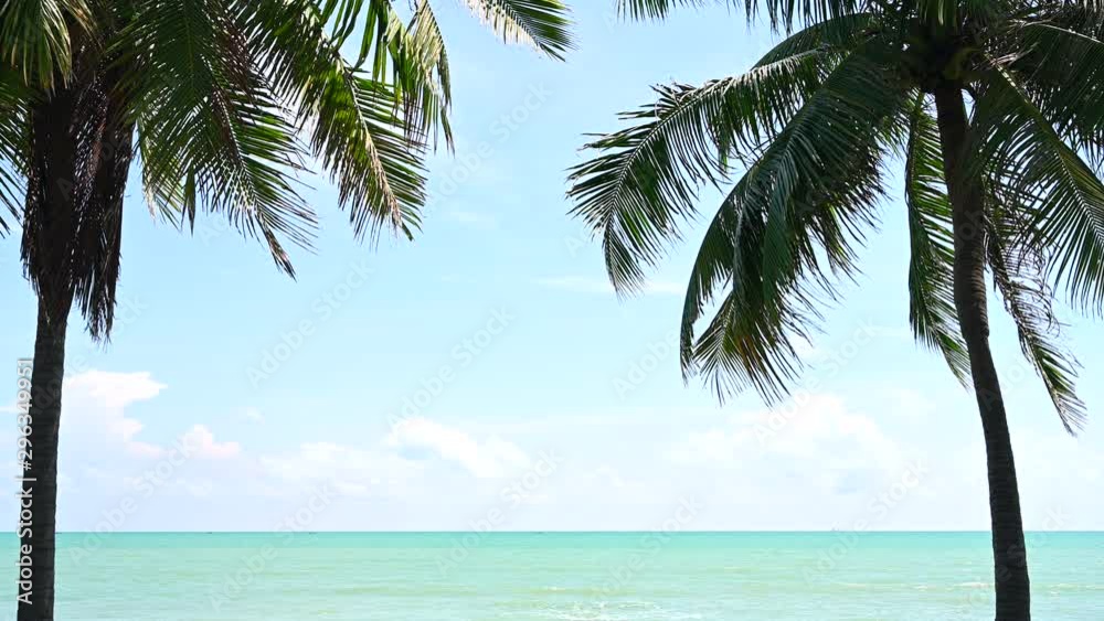 front view Coconut tree on beach With the sky Beautiful in Summer holiday at Phuket Thailand,4K footage front view Coconut tree on beach With the sky Beautiful in Summer holiday at Phuket Thailand,4K footage