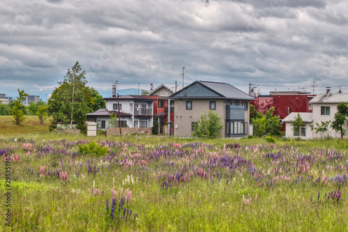 Meadow in front of a house in Japan