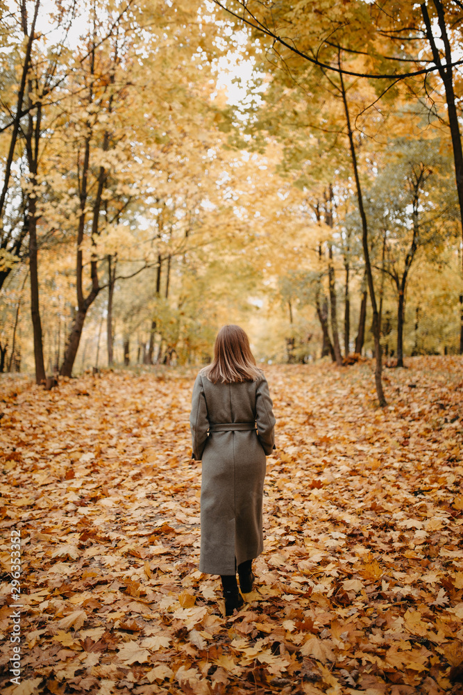 woman goes into the distance along the autumn alley of the park. a girl in a gray coat is walking on fallen leaves. woman goes into the distance along the autumn alley of the park. a girl in a gray coat is walking on fallen leaves.