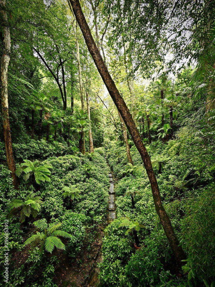 Fototapeta premium Natur, Berge und mehr