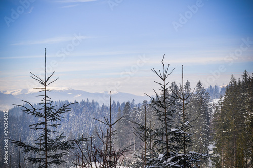 Winter snowy landescape, tourism concept mountins view 
