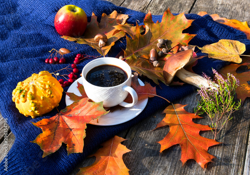 Photography Colorful maple and oak leaves, decorative pumpkin, red apple, wild mushroom and