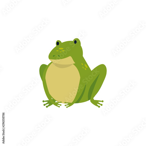 cute toad animal isolated icon vector illustration design