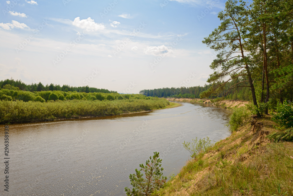 Fototapeta premium Summer landscape with meandering river and trees on the banks