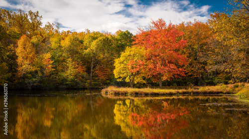 Colorful autumn foliage reflecting in a small pond
