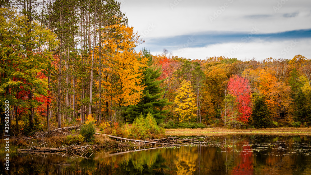 Colorful fall foliage reflecting in Lake Ocquittunk at Stokes State Forest, New Jersey