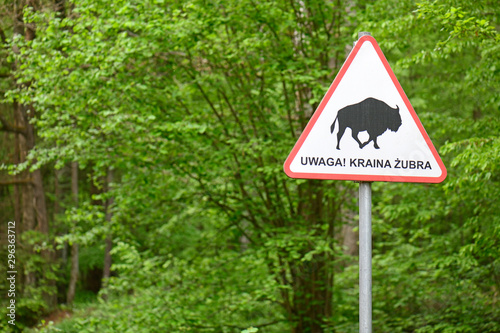 Warnschild vor kreuzenden Wisenten in Bialowieza, Polen - Warning sign for crossing bisons in Bialowieza, Poland photo