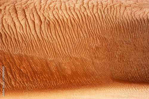 Oman, Rippled sand on a dune, full frame photo