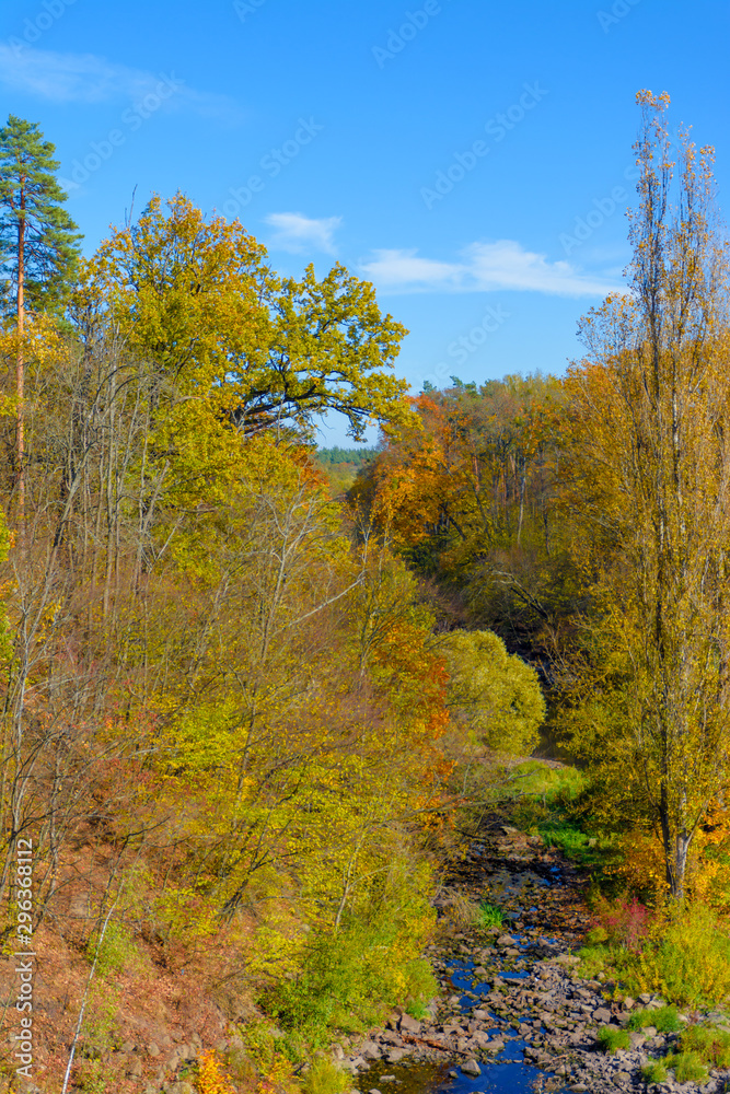 Autumn landscape with colorful forest, river and forest trails