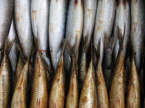 fresh fish in the market