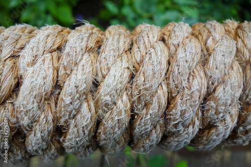 close up of coiled rope photo