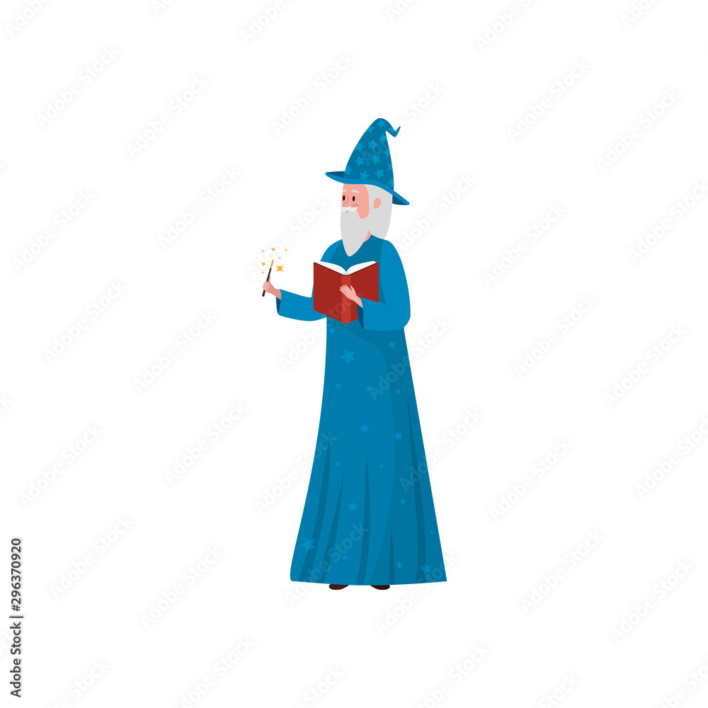 wizard of fairytale avatar character vector illustration design